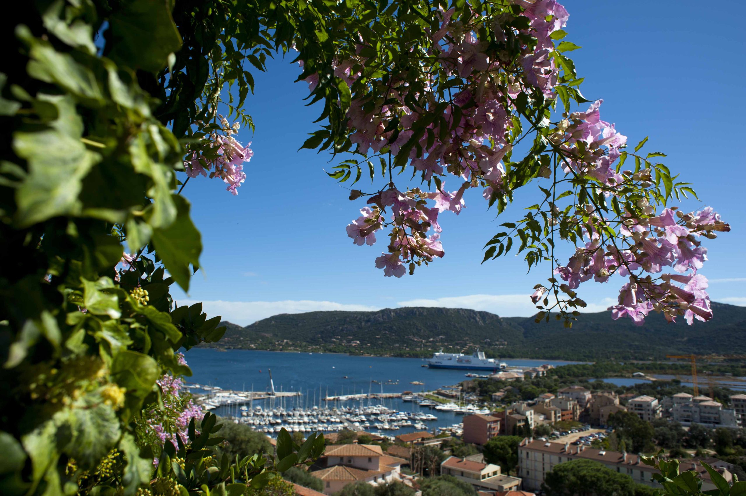 View of Portoe-vecchio